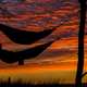 Imagen: Unsplash